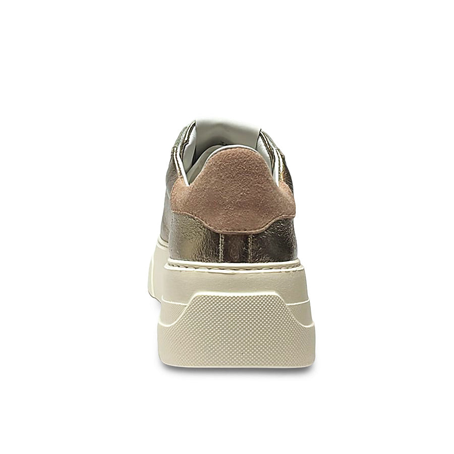 Stokton 683 D Ss25 Sneaker