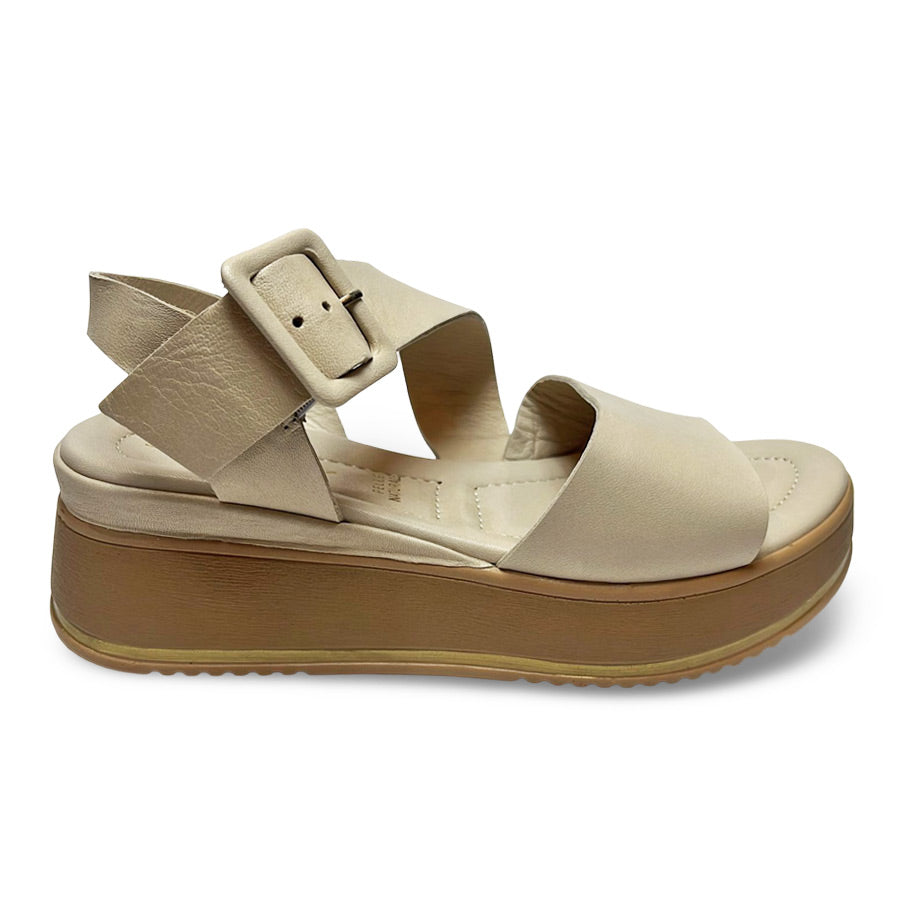 Follow Us! 251625 Wedge