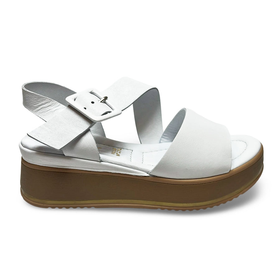 Follow Us! 251625 Wedge