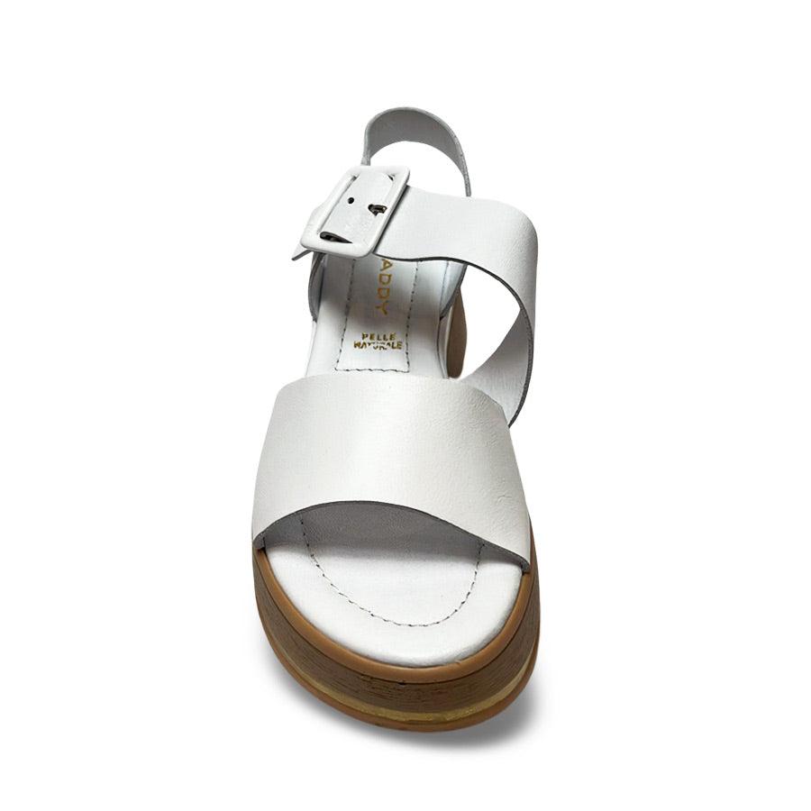 Follow Us! 251625 Wedge