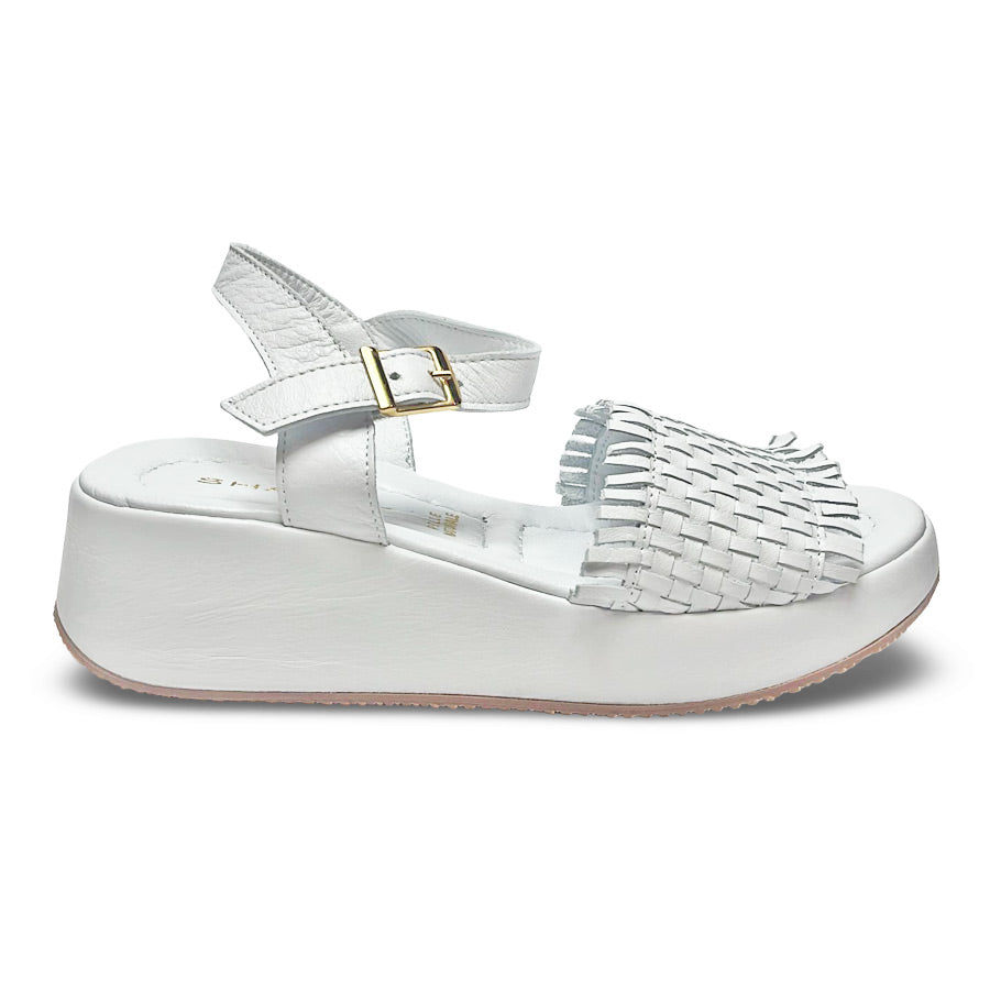Follow Us! 251577 Wedge