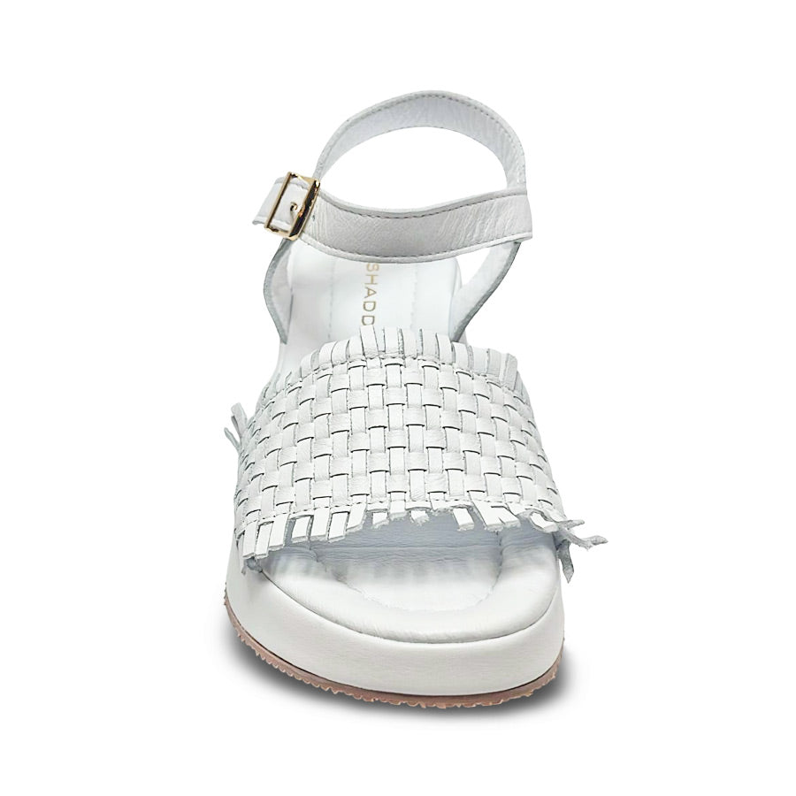 Follow Us! 251577 Wedge