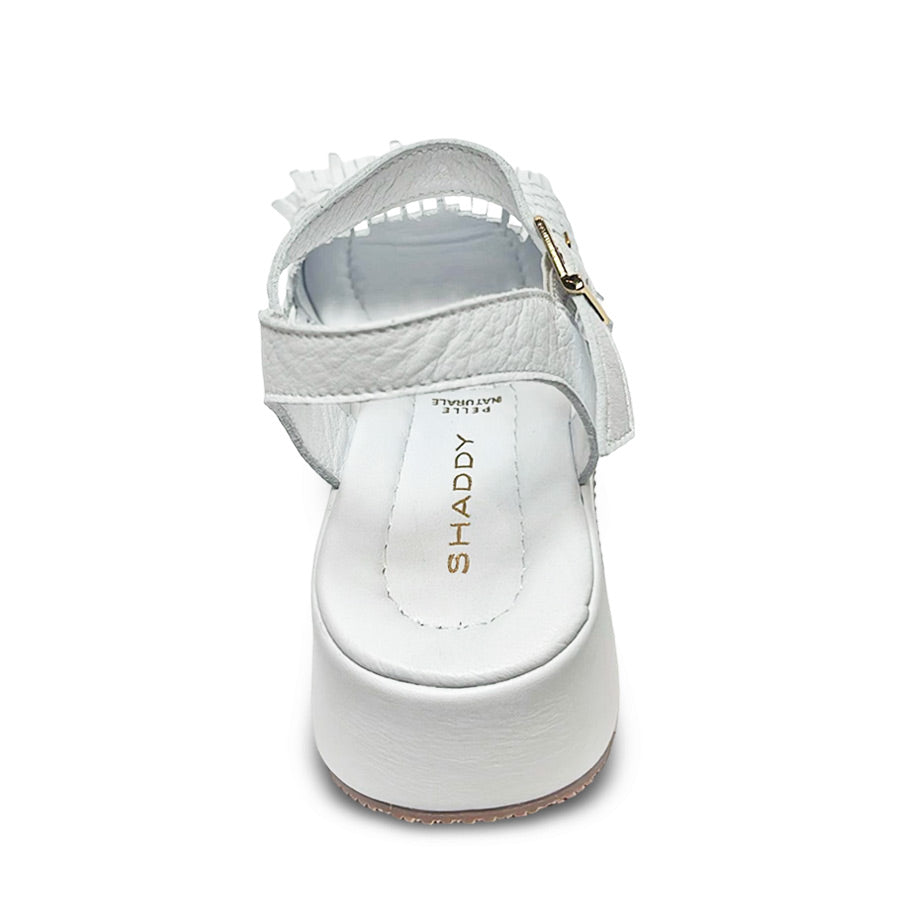 Follow Us! 251577 Wedge