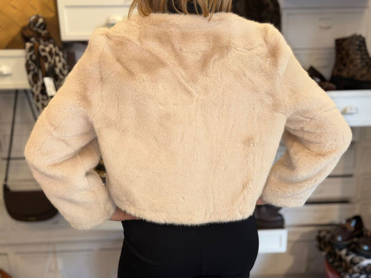 Vivienne D Vep003 Ecopellicia