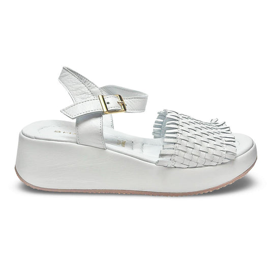 Follow Us! 251577 Wedge