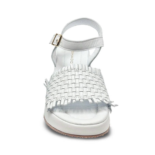 Follow Us! 251577 Wedge