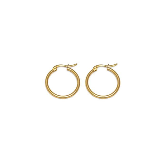 Vestopazzo Gst3002 Earrings