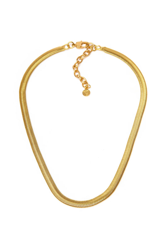 Vestopazzo Dd04032 Necklace