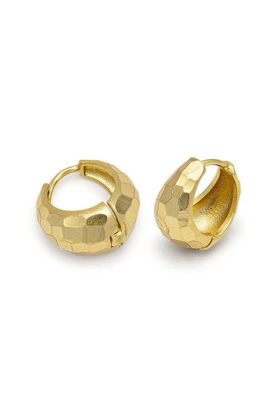 Vestopazzo Dd16164 Earrings