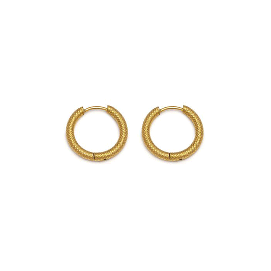 Vestopazzo Gst3004 Earrings