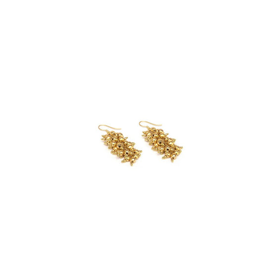 Vestopazzo Dd16087 Earrings